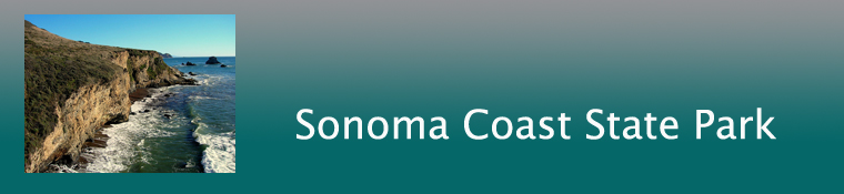Sonoma Coast State Park Banner